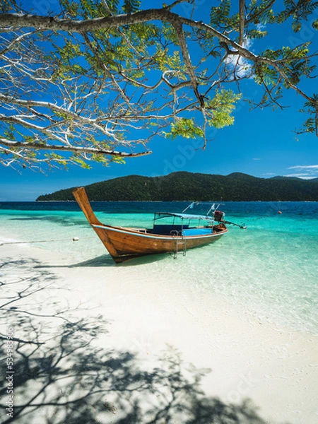 Fototapeta Scenic view of Koh Ra Wi Island white sand beach, clear turquoise sea and long tail boat against summer blue sky with dead tree trunk foreground. Near Koh Lipe Island, Tarutao, Satun, Thailand.