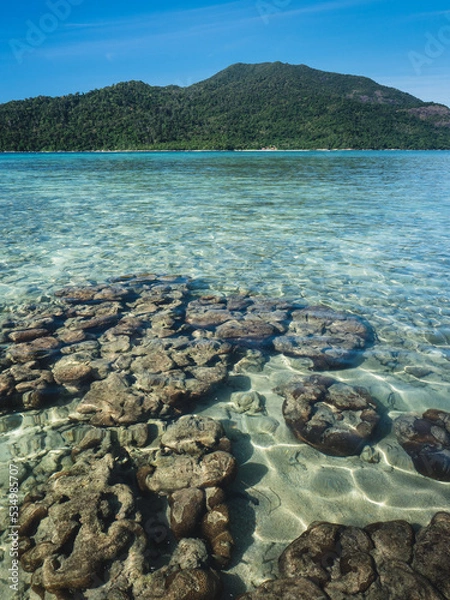 Fototapeta Scenic view of Sunset Beach, Koh Lipe Island. Crystal clear shallow water with coral reef transparent against summer blue sky and Koh Adang Island background. Satun, Thailand.