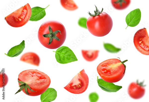 Fototapeta Fresh flying tomatoes and basil isolated on white
