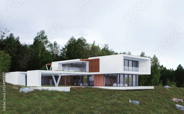 Fototapeta 3D visualization of a modern house. House with a flat roof. Modern unique architecture