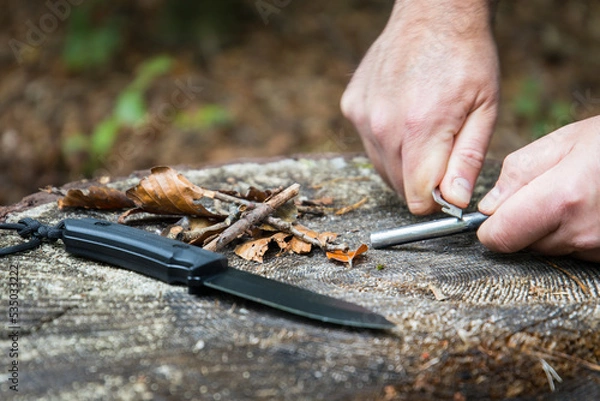 Fototapeta Men using survival tools to hand start a fire with magnesium fire steel