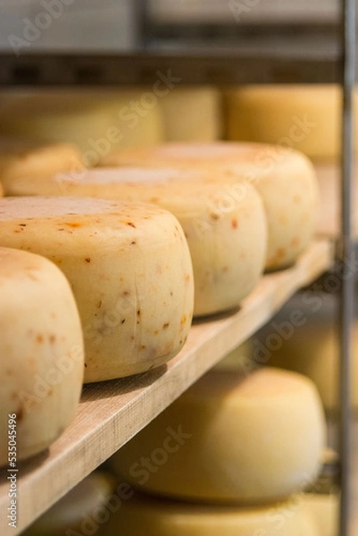 Fototapeta Rows of cheese on wooden shelves at cheese making factory. Drying the cheese in a storage rack. Wheels of yellow cheese in store at milk factory. Dairy plant. Food industry.