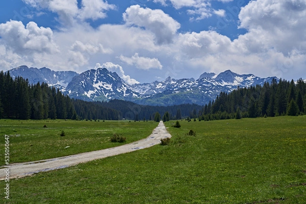 Obraz road in the middle of a valley surrounded by forest and mountains