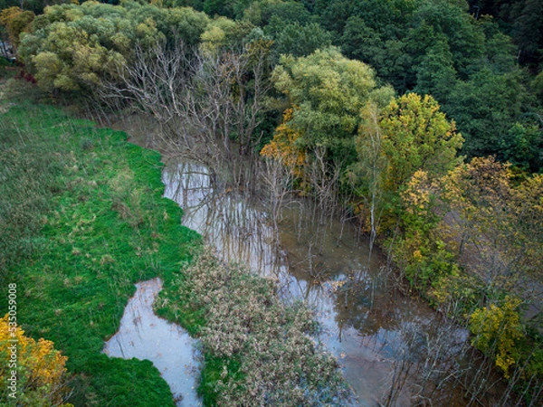 Obraz river in the forest