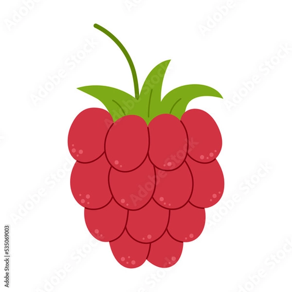 Obraz Ripe raspberry. Flat vector illustration isolated on white background.