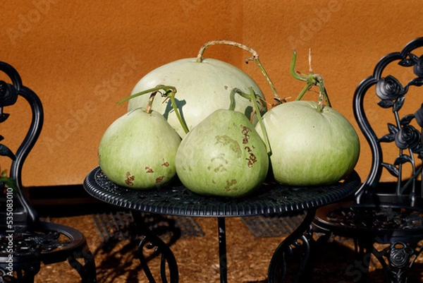 Obraz 2022秋02-草花