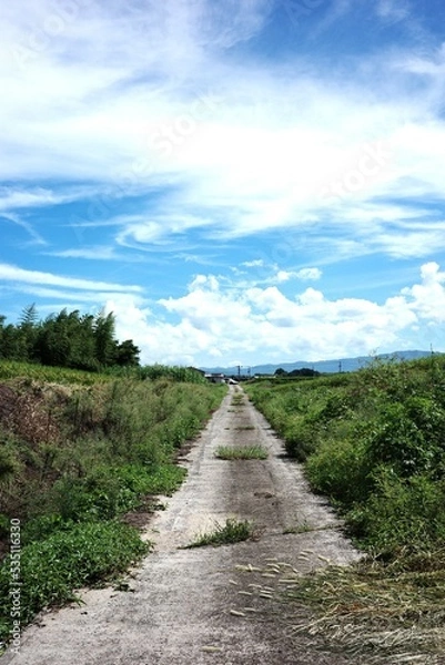 Fototapeta どこまでも続く道