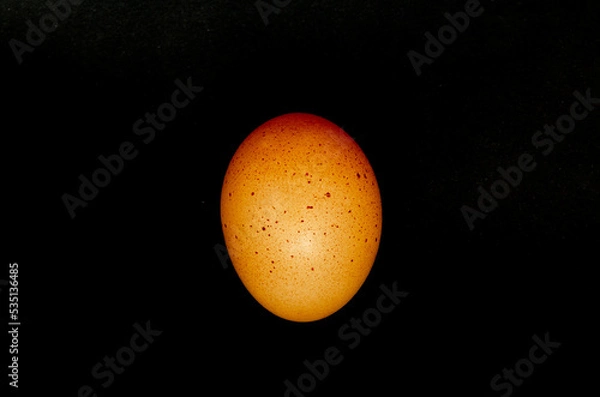 Fototapeta A brown egg on a black background.
