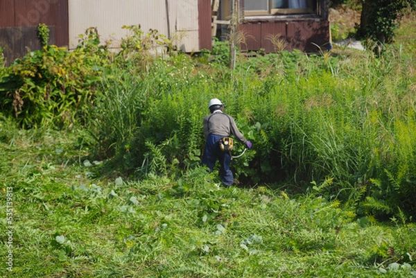 Obraz 休耕田の雑草の草刈りをする男性たち