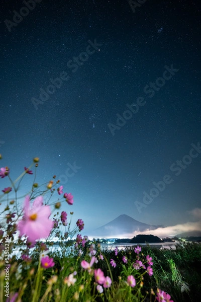 Obraz 富士山とオリオン座とコスモス（河口湖）