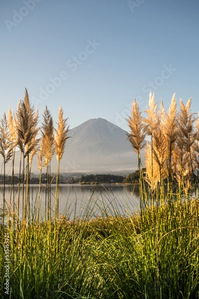 Obraz 富士山とすすき（河口湖）