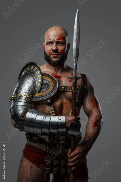 Fototapeta Portrait of handsome gladiator with muscular build holding long spear isolated on gray.