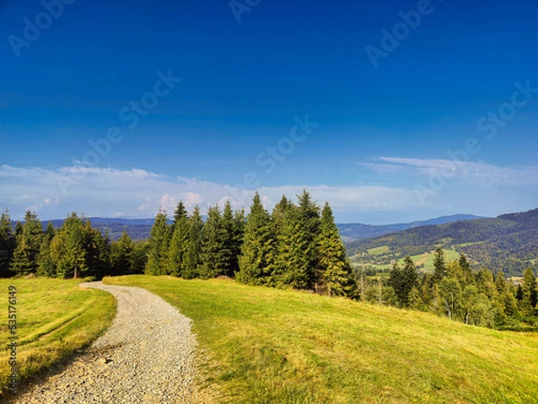 Fototapeta Wisłą Cieńków
