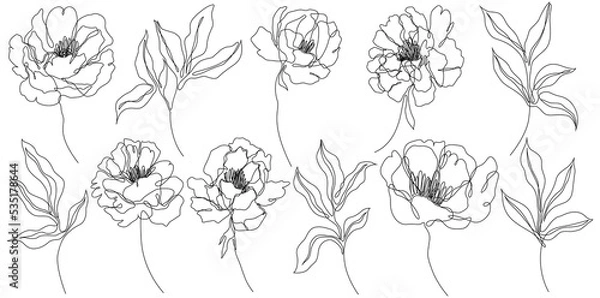Fototapeta Peony flowers isolated png illustration. Wildflowers for background. Abstract botanical art. Simple minimalist art set. Continuous line drawing.