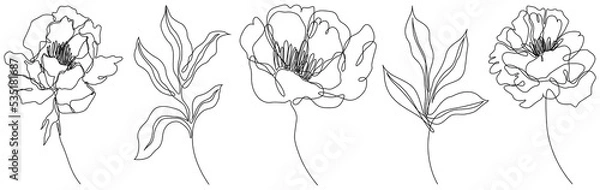 Fototapeta Peony flowers isolated png illustration. Wildflowers for background. Abstract botanical art. Simple minimalist art set. Continuous line drawing.