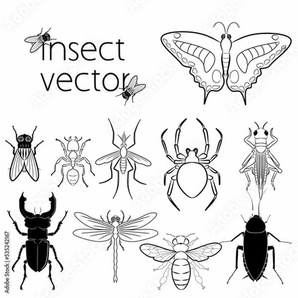 Obraz collection of butterflies