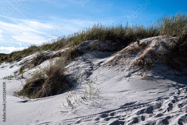 Obraz sanddunes at the beach