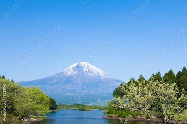 Fototapeta 新緑の頃の田貫湖と富士山