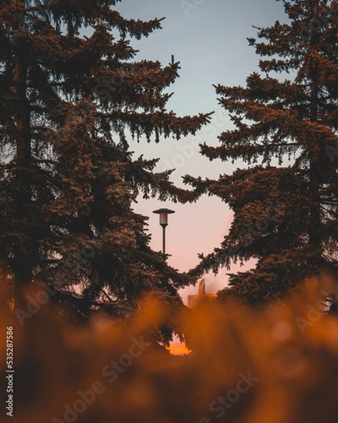 Obraz Nature loves you