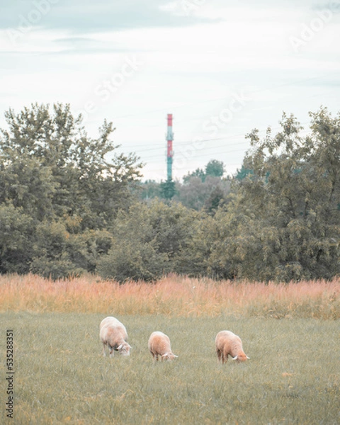 Obraz nature industry