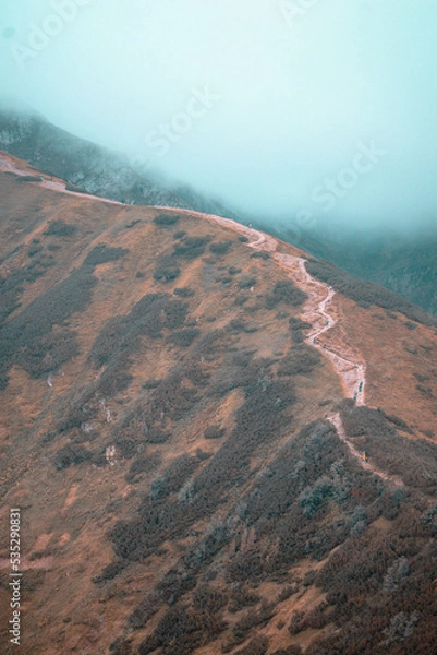 Obraz path in the mountains
