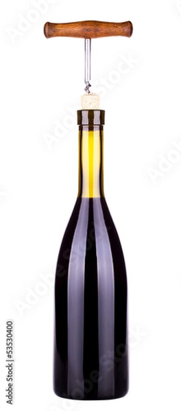 Obraz red wine and a bottle isolated