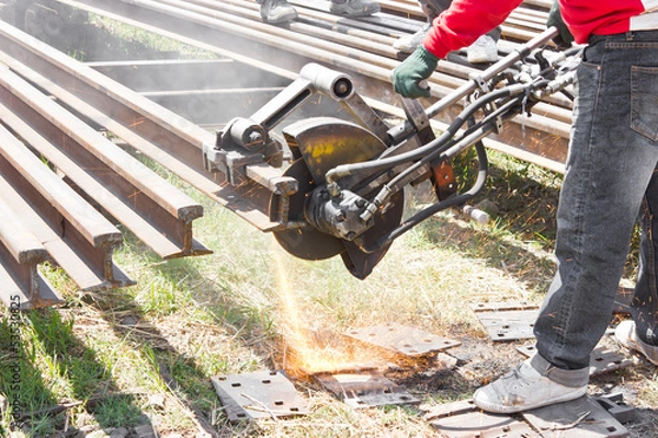 Obraz Workers were cutting tracks for maintenance.