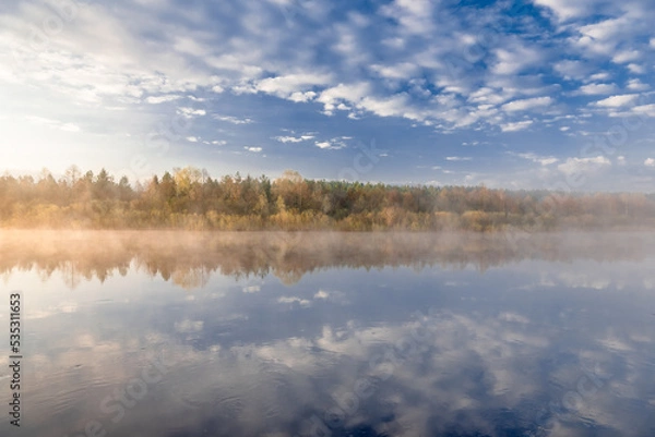 Fototapeta lake in the forest