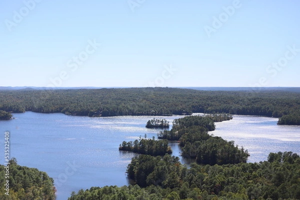 Obraz lake in the forest