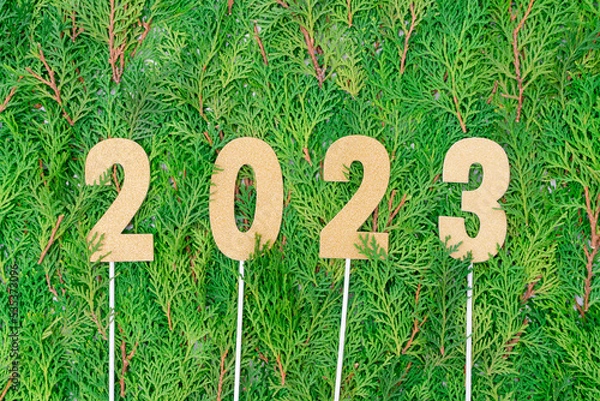 Fototapeta Flat lay of 2023 gold glitter numbers on fresh green leaves. Happy new year concept and go green idea