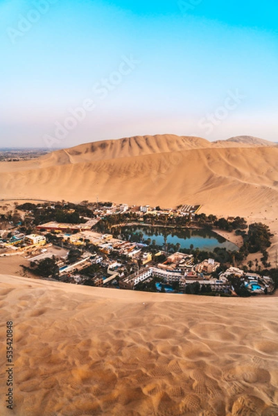 Obraz oasis