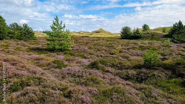 Obraz scenic view of landscape