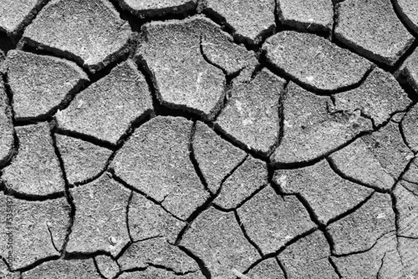 Fototapeta Waiting for monsoon to arrive. Cracks in dry earth due to lack of rain. Dry season in northern part of Sri Lanka.