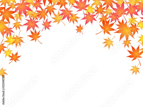 Fototapeta もみじのフレーム⑤上部_舞う_白背景