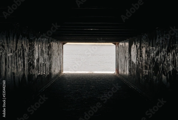 Obraz light in the tunnel