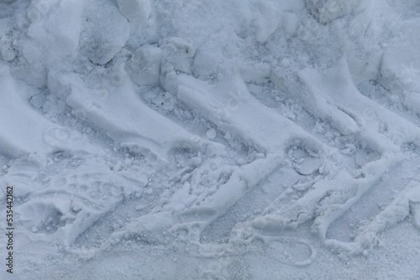 Obraz snow covered trees