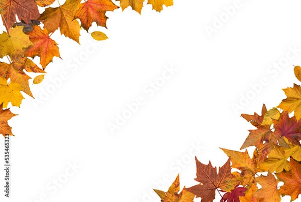 Obraz Autumn leaves border