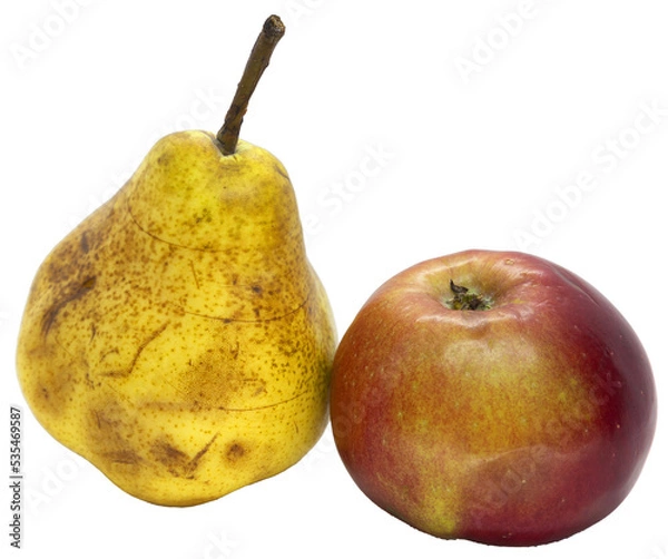 Obraz pear