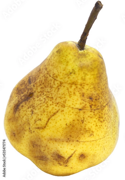 Obraz pear 