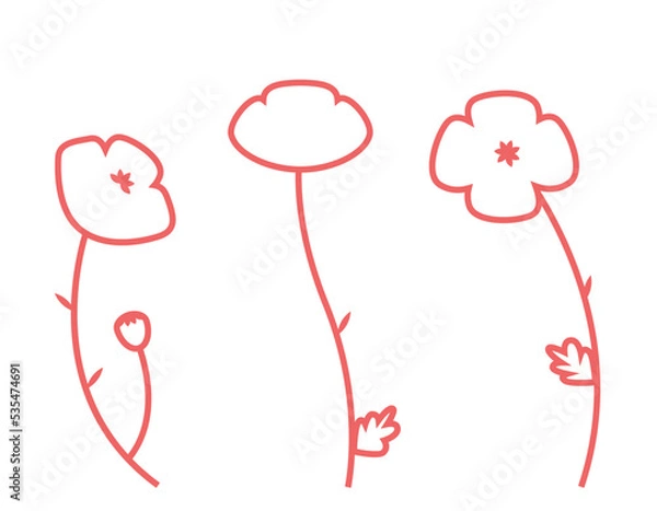 Fototapeta Set of poppies in outline style. Beautiful wildflowers.