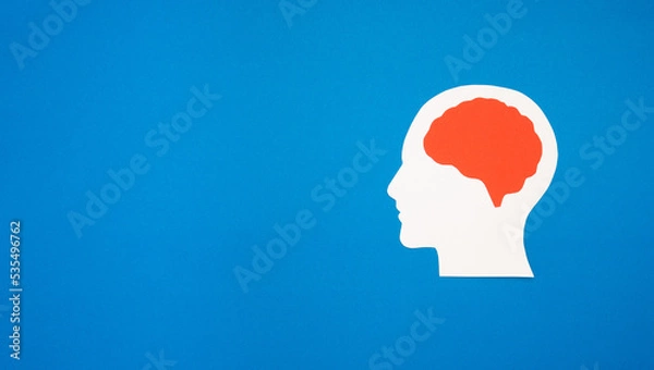 Fototapeta A brain shape made from paper on a blue background