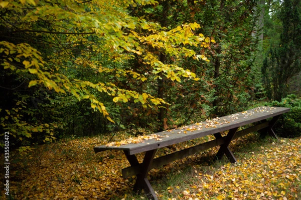 Fototapeta Autumn in the park leaves colored on the ground at an empty bench