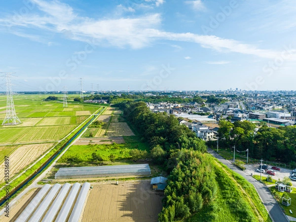Obraz 農業用地と住宅地の空撮(ドローン)