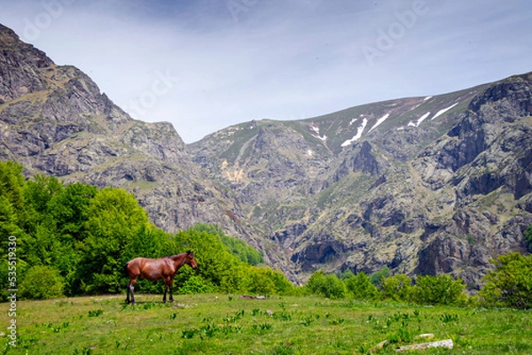 Obraz Path to Raiskoto praskalo waterfall and Botev peak in Balkan mountain, Bulgaria