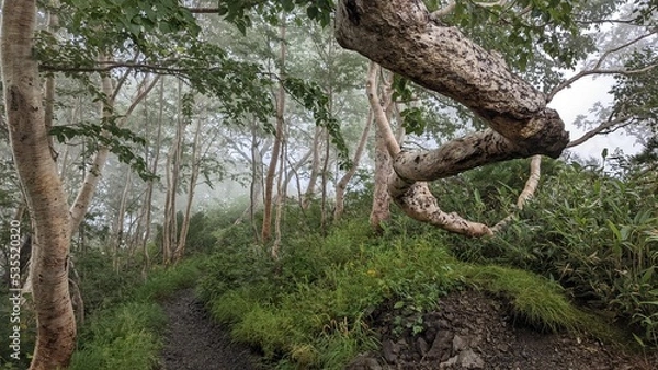 Obraz 唐松岳登山道
