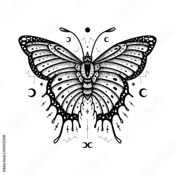 Fototapeta Butterfly Vector Illustration