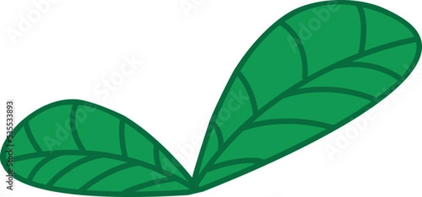 Fototapeta Basil. Two leaves of green basil in flat style with line art