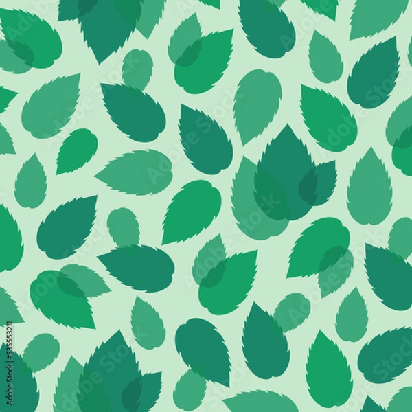 Obraz Mint leaves background. Flat vector illustration
