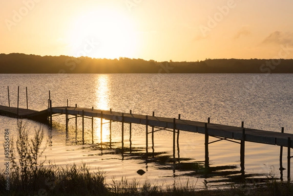 Fototapeta Snogbækskov