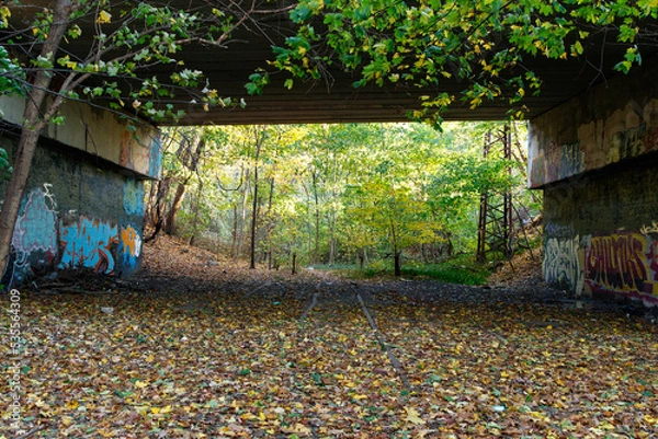 Fototapeta Old abandoned overpass in autumn